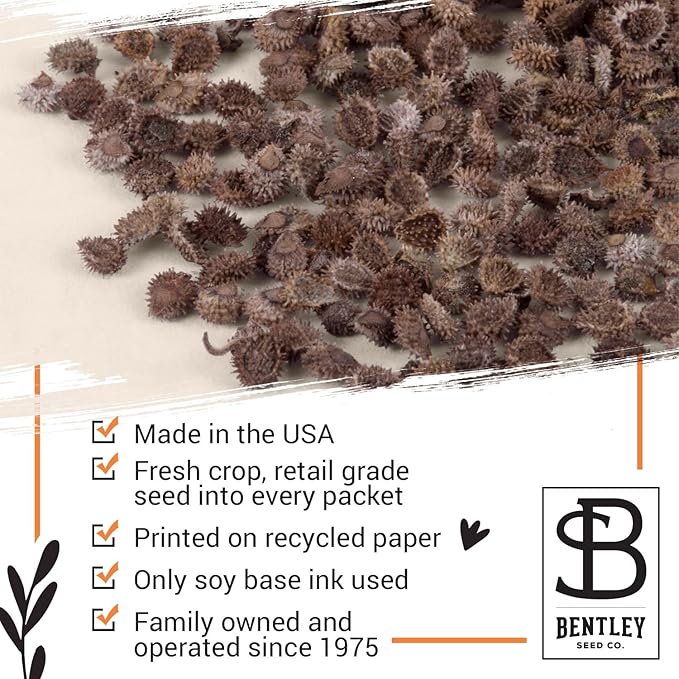 Bentley Thank You Packet - Sunflower Seeds - Pack of 25 - Perfect Eco-Friendly Thank You Gift - Non GMO