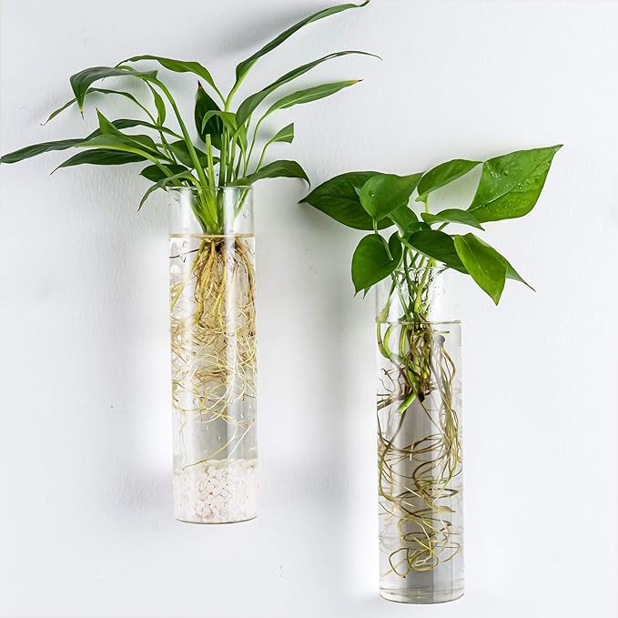 Kingbuy Wall Hanging Plant Terrarium Propagation Station Glass Planter for Home Office Decor, Large Cylinder Vase, 4 Pack