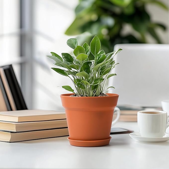 T4U 6 Inch Flower Pots 18-Pack - Small Plastic Planter with Drainage Hole and Saucer, Decorative Nursery Plant Pot Bulk for African Violet, Aloe and All House Plants Indoor (Terracotta)