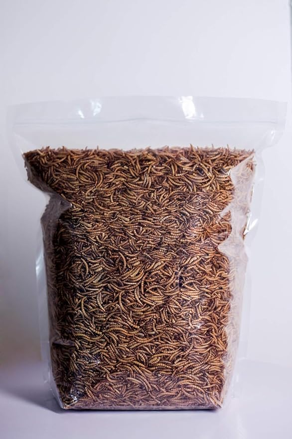 kimoe Bulk Dried Mealworms 10LB 100% Natural Non-GMO Dried Mealworms -High-Protein for Birds, Chicken,Ducks