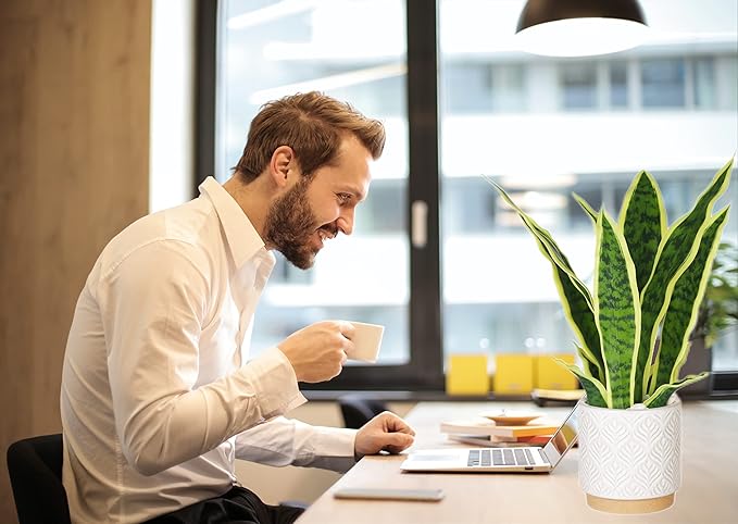 Artificial Snake Plant 16" with White Ceramic Pot Sansevieria Plant Fake Snake Plant Greenery Faux Plant in Pot for Home Office Living Room Housewarming Gifts Indoor Outdoor Decor-Yellow