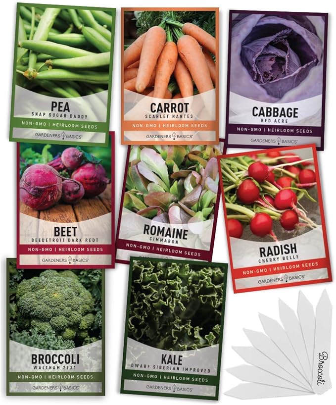 Gardeners Basics, Winter Fall Vegetable Seeds for Planting 8 Varieties Sugar Snap Pea, Carrot, Beet, Radish, Lettuce, Broccoli, Kale, Cabbage Seed Fall Vegetable Seeds Packs