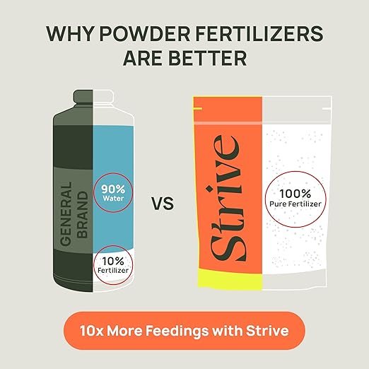 Strive Fertilizer Part B Package - Veg + Bloom General Hydroponic Nutrients - Premium Indoor, Outdoor and Soil Growing Plant Food - Enhancer - Booster for Vegetables, Succulents, Flowers & More