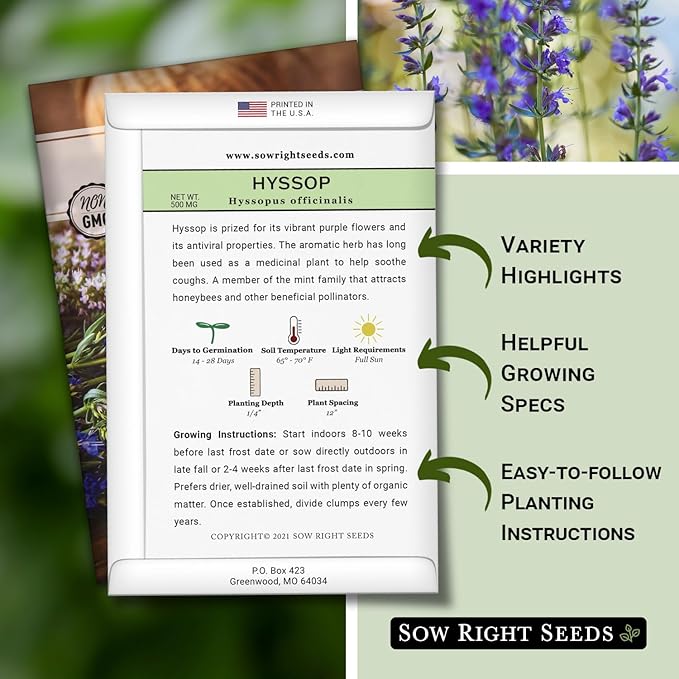 Sow Right Seeds - Hyssop Seed for Planting - Medicinal Herb to Plant in Your Garden - Outdoors - Attracts Pollinators - Stunning Purple Flowers - Non-GMO Heirloom Seeds - Great Gardening Gift (4)