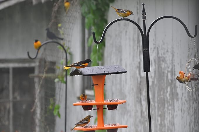 DutchCrafters Plastic Poly Double Platform Hanging Oriole Bird Feeder with Fruit Slice Holders & Nectar Cups, Jelly Bird Feeders for Outside - Amish Made in USA (Double, Bright Orange)