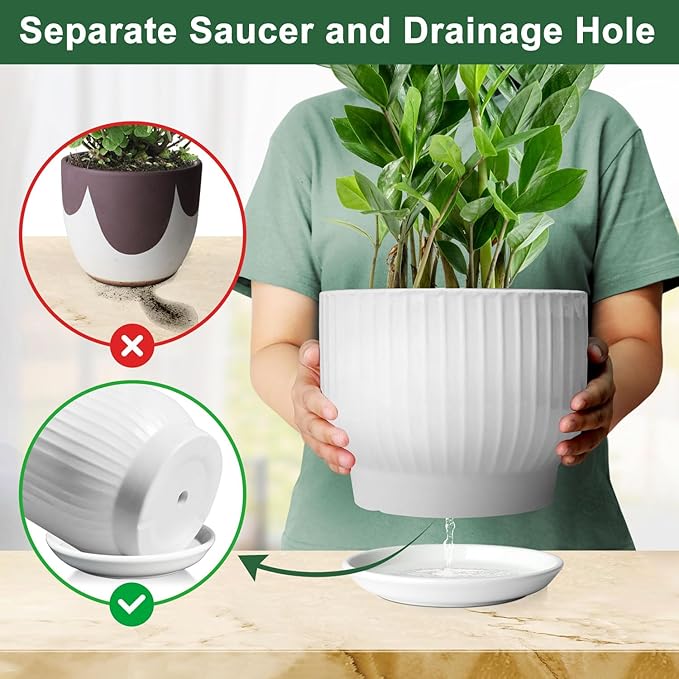 8 Inch Plant Pot, Ceramic Planter with Drainage and Saucer, Ceramic Pots for Plants, Indoor Plant pots,Ceramic Flower pots(Pure White, Plants NOT Included)