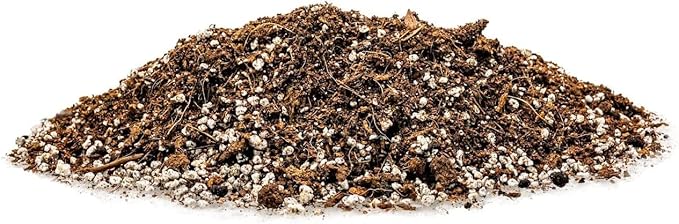 Premium Organic Potting Soil for Garlic - (2 Quart Bag)