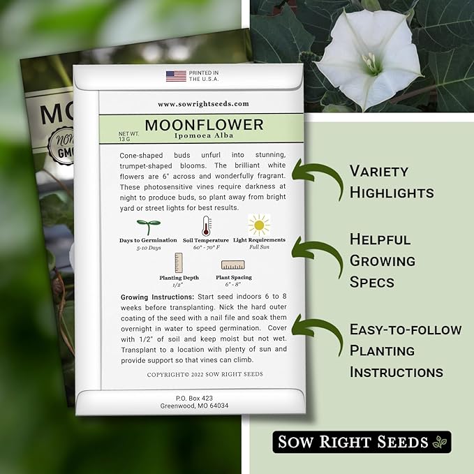 Sow Right Seeds - Moonflower (Ipomoea alba) Flower Seeds for Planting - Beautiful Flowers to Plant in Your Home Garden - Non-GMO Heirloom Seeds - Tall Annual Great for Cut Flowers - Wonderful Gift (2)