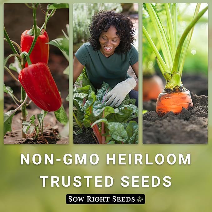 Sow Right Seeds - Heirloom Bell Pepper Seeds Vegetable Growing Kit - 5 Bell Pepper Varieties - Pots & Potting Soil - Non-GMO Packets with Instructions to Plant a Productive Garden - Wonderful Gift