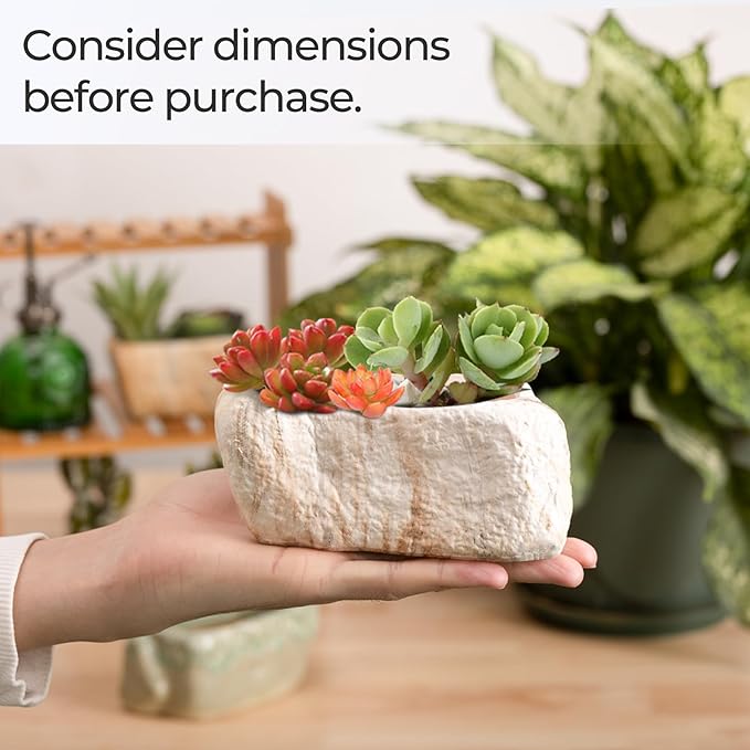 T4U 5.5 Inch Ceramic Succulent Pot Planter with Drainage Hole Set of 3, Stone Shape Rectangle Window Box Cactus Plant Containers Gift for Mom Sister Best for Home Office Table Desk Decoration