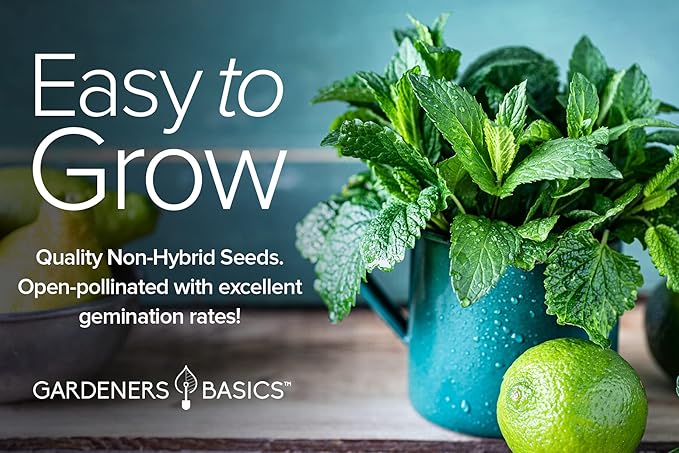 Gardeners Basics, Herbal Tea Seeds for Planting Indoors and Outdoors 5 Variety Packets Echinacea, Peppermint, Lavender, Chamomile and Lemon Balm - Great for Kitchen Herb Garden Heirloom Herb Seeds