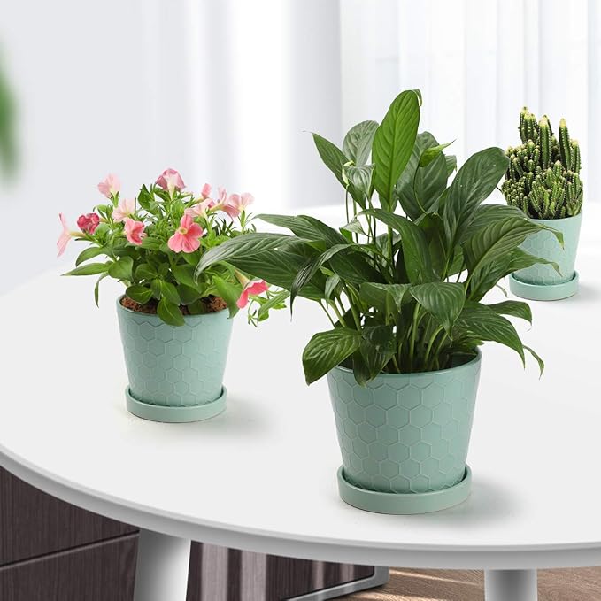 Plant Pot –4”+5”+6” inch Ceramic Pots for Plants with Drainage Holes and Ceramic Tray - Gardening Home Desktop Office Windowsill Decoration Gift Set 3 - (Mint Green)