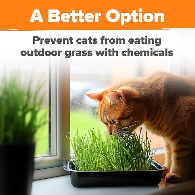 HOME GROWN Organic Cat Grass Seeds Pack (4oz) - Non-GMO Heirloom Cat Grass Seeds for Indoor Cats - Oat and Barley Pet Grass - Hairball Relief