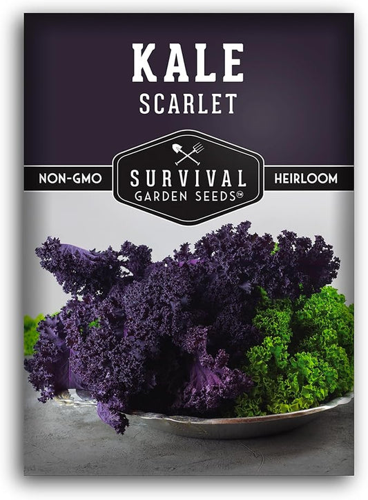 Survival Garden Seeds Scarlet Kale Seeds for Planting – 1 Packet with Instructions to Grow Edible & Ornamental Kale Vegetables in Your Home Food Garden – Non-GMO Heirloom Purple Kale Seeds