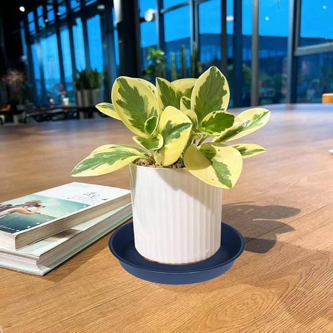 4 Pack of 14 inch Plant Saucers Bird Bath Bow Round, Plastic Plant Saucer Tray for Pots, White Planters for Indoor Plants, Plant Trays for Planter 12-15" (14", Blue)
