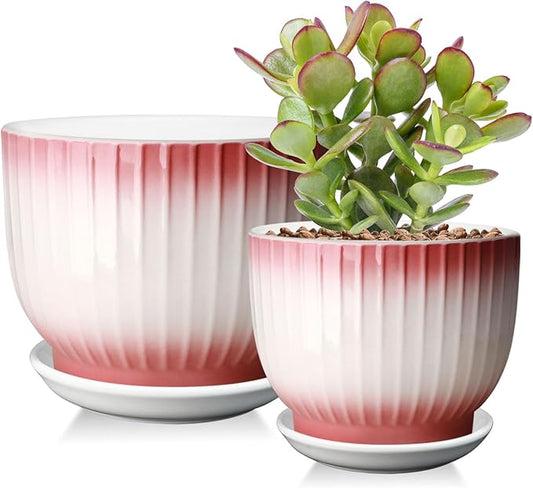 6.7 + 5.5 Inch Plant Pot, Ceramic Planter with Drainage and Saucer, Ceramic Pots for Plants, Indoor Plant pots,Ceramic Flower pots(Pink + White, Plants NOT Included)