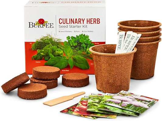 Burpee Culinary Garden Starter Kit Packets, 5 Pots, 5 Coir Pellets & 5 Plant Markers Non-GMO Herb Seeds: Cilantro, Dill, Parsley, Sweet Basil & Chives