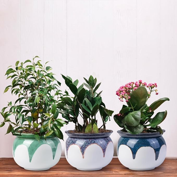 African Violet Pots, 6 Inch Self Watering Pots for Indoor Plants,Easy Plant Self Watering Planter, Ceramic Plant Pot with Absorbent Inner Pot for Flowers - Gradient Blue