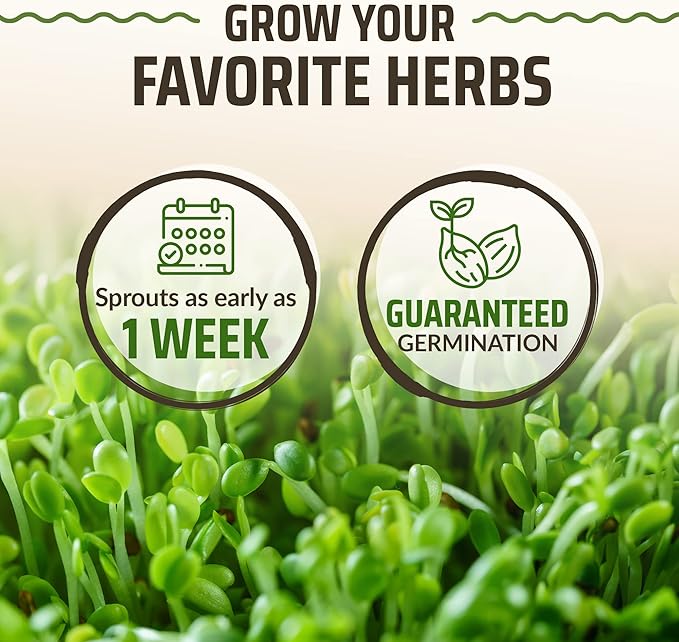 Rooted Acre Culinary Herb Seed Vault - Herbs Seeds for Planting Indoor or Outdoor Garden - Heirloom, Non GMO | Hydroponic Herb Garden Seeds with High Germination