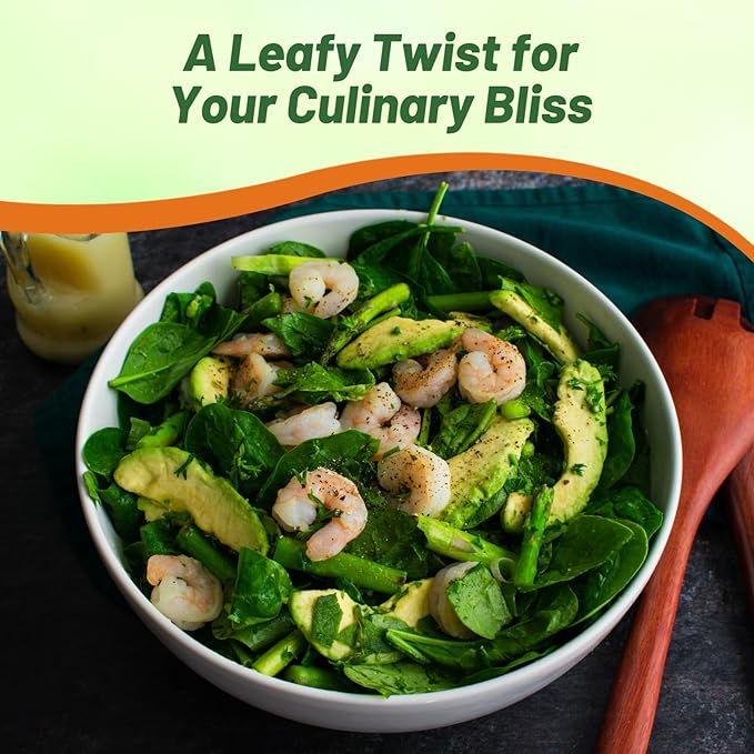 Outsidepride 200 Seeds Perennial Basella Rubra Malabar Spinach Herb Seeds for Planting