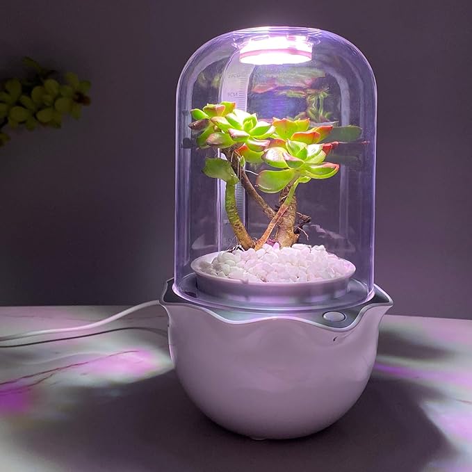 Venus Fly Trap Pot,Smart Planter with Timer and Fan,Small Terrarium Kit with Light and Drainage Hole for Carnivorous Plant,Succulent,Sundew Moss,Cactus,Pitcher(No Plant)