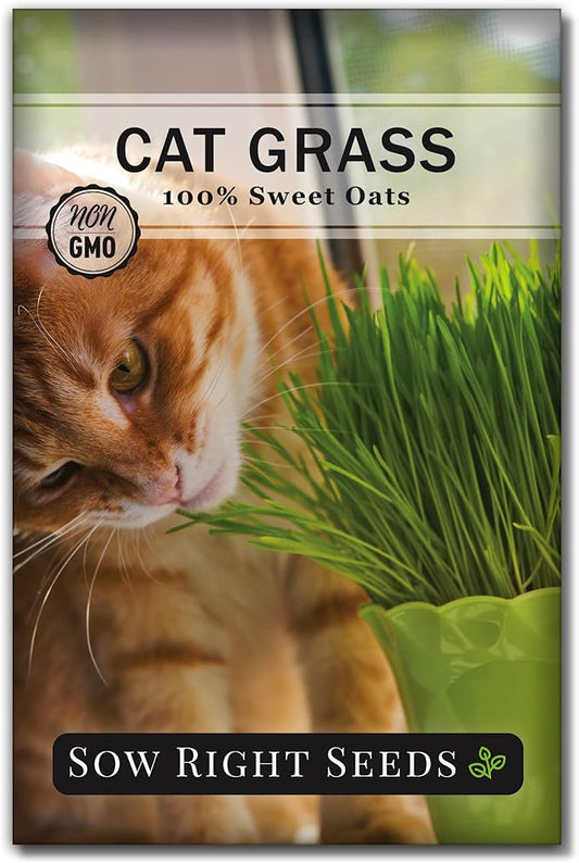 Sow Right Seeds - Cat Grass Seeds for Planting - 100% Sweet Oats - Non-GMO Heirloom Healthy Greens for Cats and Dogs - Easy to Grow - Safe & Natural Indoor Use - Ideal for Pet Lovers