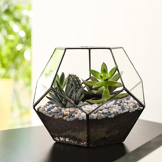 5 lbs Pebbles for Indoor Plants, 1/5 Inch Natural Decorative Gravel for Vases, Aquariums, Terrarium, Fish Tank, Drainage Rocks for Potted Plants, Bamboo, Succulent, Crafts, Cactus