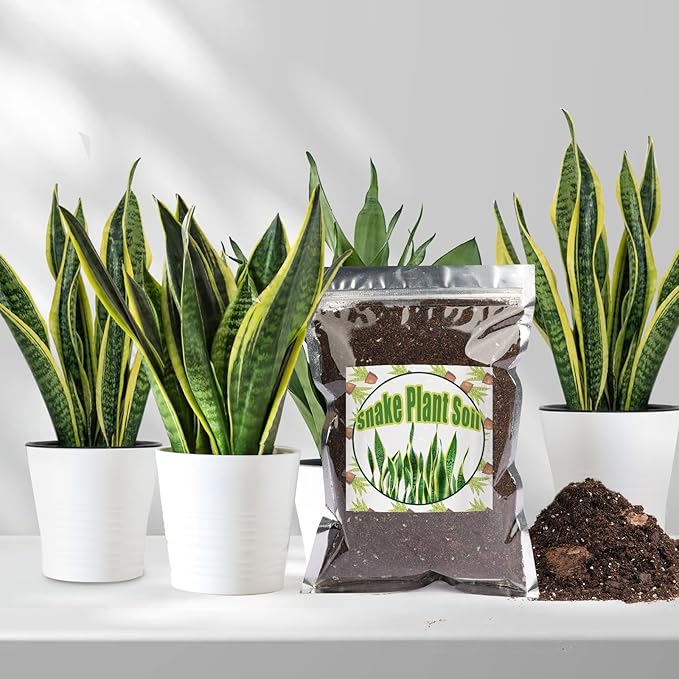 Premium Snake Plant Soil Mix 2qt, Indoor Plants Potting Mix for All Potted Snake Plants, Promote Healthy Growth and Easy Care