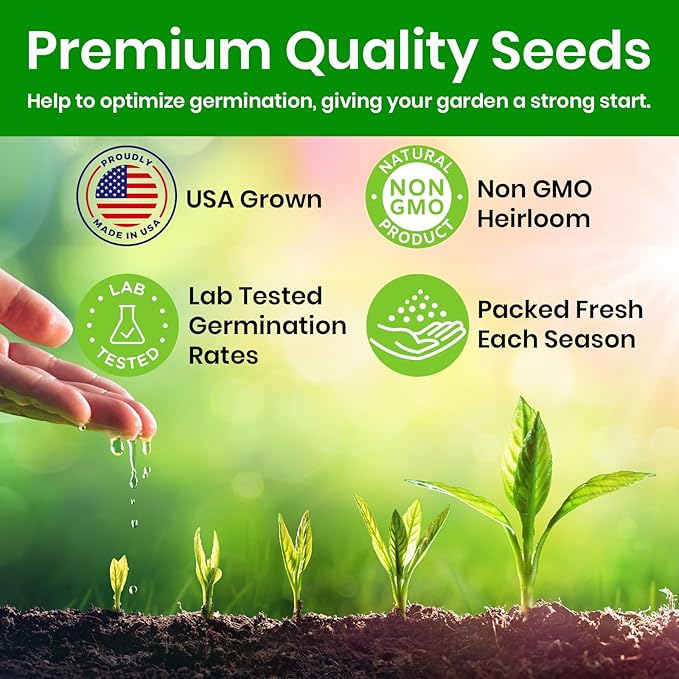 Echinacea Seeds, Purple Coneflower Seeds, Over 2300 Echinacea Seeds for Planting, Non-GMO, Open Pollinated, Heirloom Flower Seeds