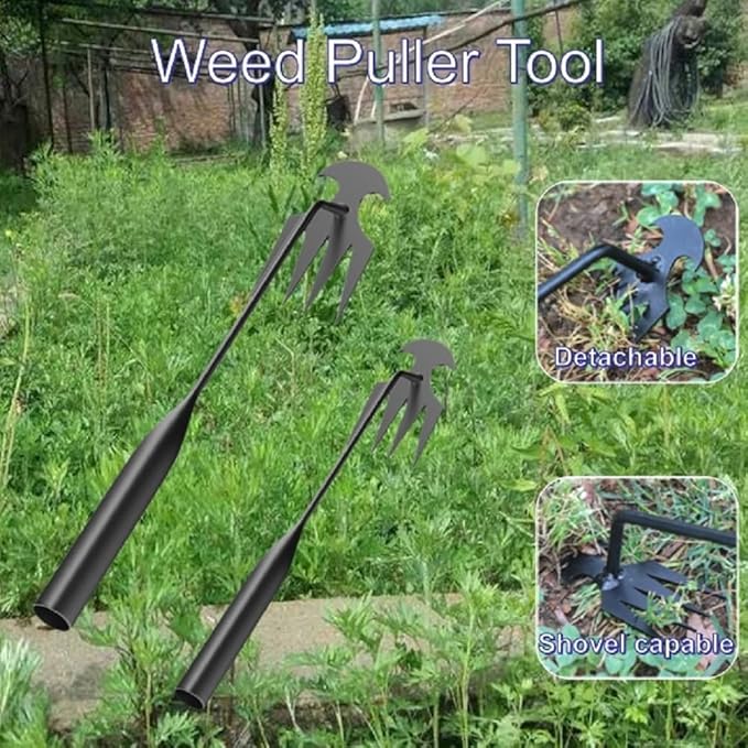 Stainless Weeding Artifact Uprooting Weeding Tool, Stainless Steel Forged Weed Puller 4 Teeth Dual Purpose Weeder, Hand Weeder Tool for Gardening with Long Handle (Black 2Pcs)