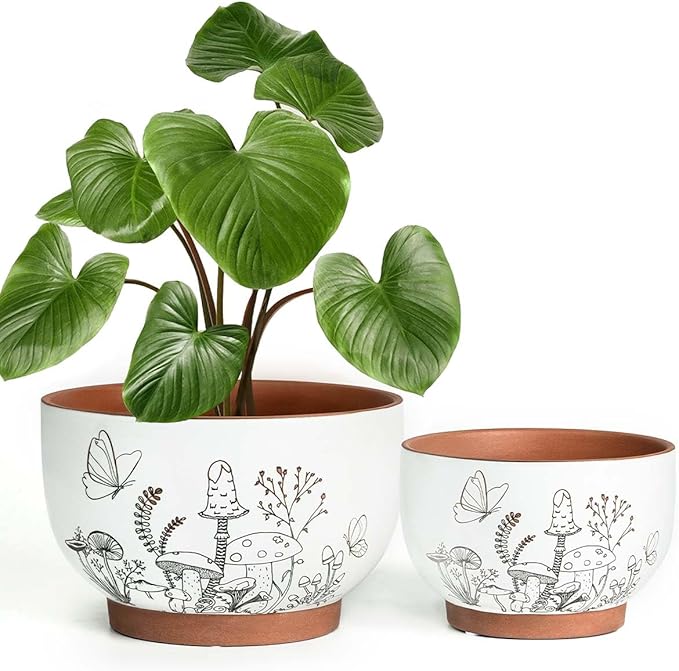 YBX 8 Inch & 6 Inch Terracotta Pots, Plant Pots Indoor, Flower Pots for Indoor Plants with Drainage, Planters with Mushroom Accent for Indoor Plants (Cottage)