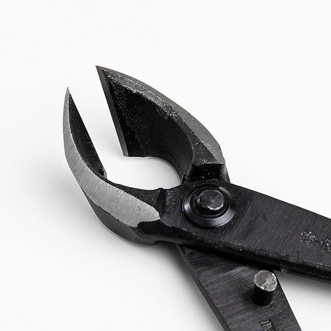 Wazakura Japanese Bonsai Tool Kit Made in Japan - Hanafubuki Satsuki Scissors 7inch(180mm) + Concave Branch Cutter 8inch(200mm) Gift Box Set