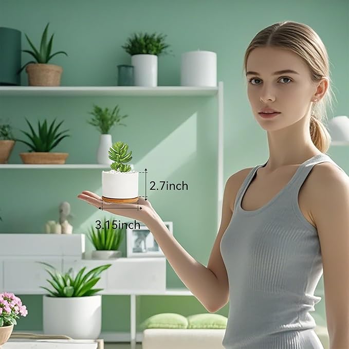ZOUTOG Succulent Pots, White Mini 3.15 inch Ceramic Flower Planter Pot with Bamboo Tray, Pack of 6 - Plants Not Included