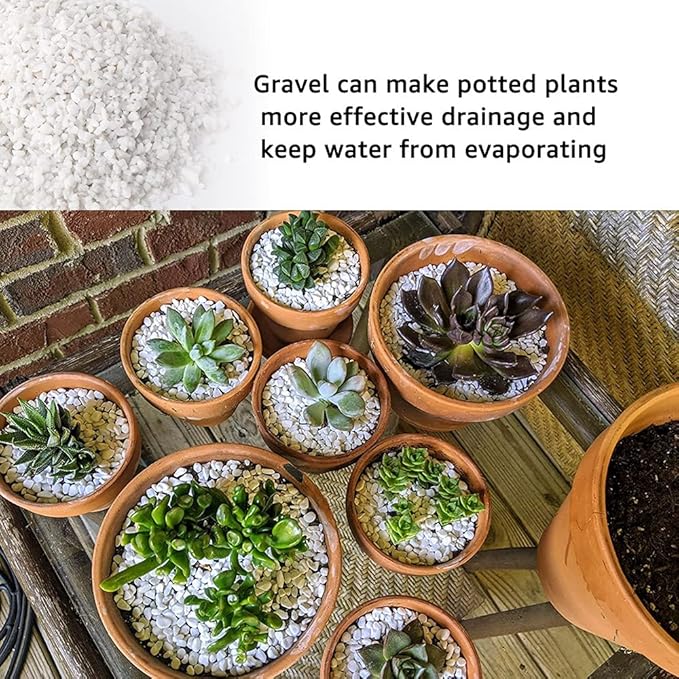 Anothera 18LB 6mm-8mm Succulent and Cactus Bonsai DIY Rocks, White Onyx, Gravel for Terrarium, Fairy Gardening, Top Dressing