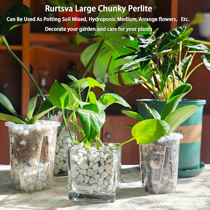 Natural 1-2CM Hard Chunky Perlite 5QT for Plants Horticultural Coarse Organic Pearlite Bulk Potting Mix Garden Soil Amendment for Enhanced Drainage and Ventilation for Orchid, Dendrobium, Araceae