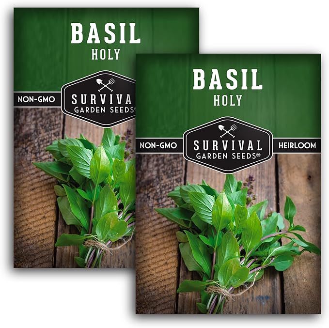 Survival Garden Seeds - Holy Basil Seed for Planting - 2 Packs with Instructions to Plant and Grow The Indian Sacred Herb Tulsi in Your Home Vegetable Garden - Non-GMO Heirloom Variety - Basil Plant