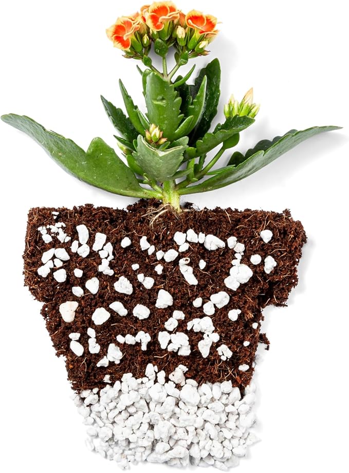 Perlite Bliss (16 Qts) - Organic Perlite for Plants - Coarse Perlite Bulk Soil Amendment - Chunky Perlite for Plants, Potting Soil, Garden Soil, & Coco Coir - Horticultural Perlite for Gardening