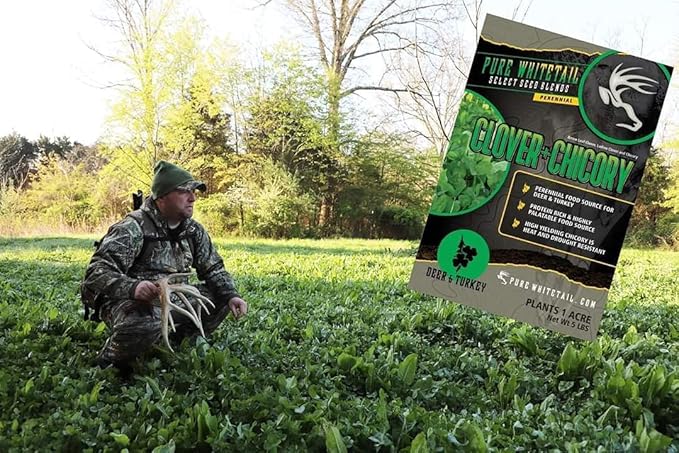 | Clover/Chicory | Select Seed Blends | All Season Whitetail Deer and Turkey Perennial Food Plot Seed | Drought Resistant | Easiest Turkey and Deer Feeders | 5 lb Bag | 2-Pack