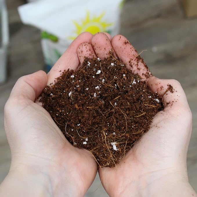Coco Peat Perlite Potting Mix (12 Quarts), Loose Coconut Coir and Perlite