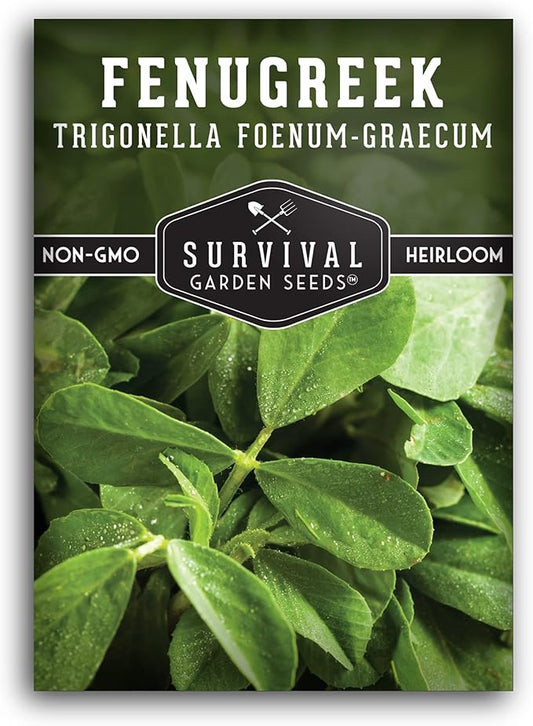 1 Pack Fenugreek Seed for Planting with Instructions to Grow Samudra Methi in Your Home Vegetable Garden - Non-GMO Heirloom - Good Microgreens or Sprouts - Survival Garden Seeds