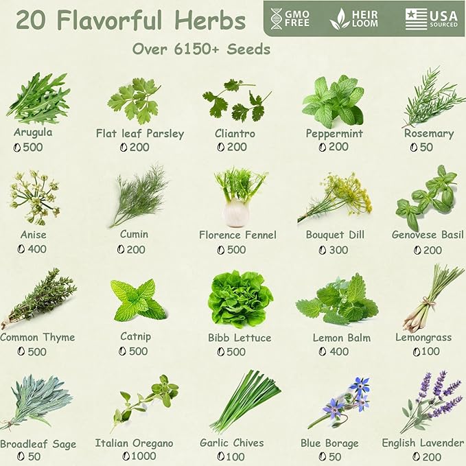 20 Culinary Herb Seeds Variety Pack, Non-GMO, Heirloom Collection with 6150+ Seeds for Indoor Hydroponic or Outdoor Garden Gift for Gardeners, New Home Housewarming Kitchen Live Plant Starter