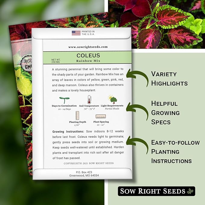 Sow Right Seeds - Coleus Rainbow Mix Seeds for Planting - Beautiful Flowers to Plant in a Home Garden - Indoors or Outdoors - Non-GMO Heirloom Seeds - Attractive & Colorful - Great Gardening Gift (2)