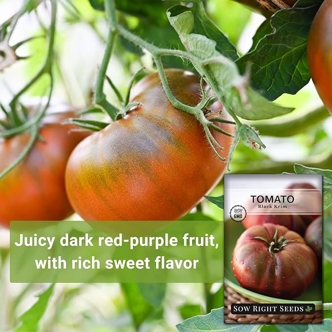 Sow Right Seeds - Black Krim Tomato Seeds for Planting - Medium Dark Maroon Beefsteak - Non-GMO Heirloom Tomato Seeds - Instructions to Plant a Home Vegetable Garden - Indeterminate Variety (1)