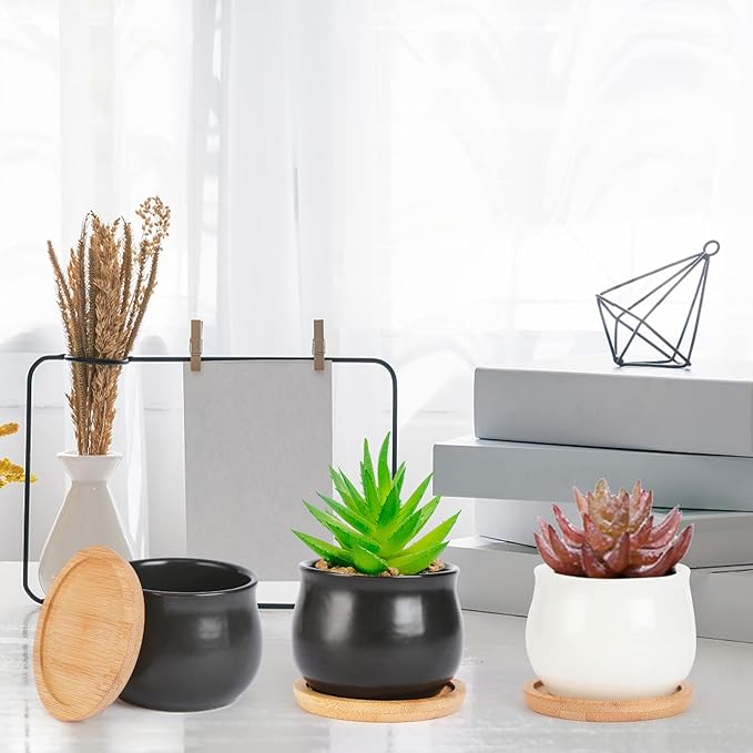 12 Pack Succulent Plant Pot, Mini 2.6 inch Ceramic Flower Planter Pot with Bamboo Tray, Small Pots for Plants, Plants Not Included (White, Black)