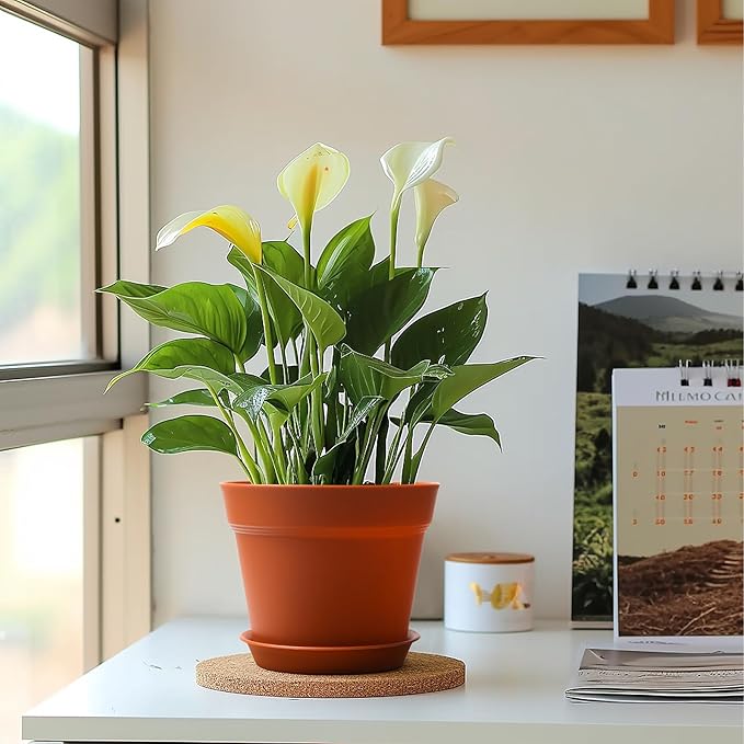 T4U 7.5 Inch Plant Pots 12-Pack - Small Plastic Planter with Drainage Hole and Saucer, Decorative Nursery Pot Bulk for African Violet, Succulent and All House Plants Indoor (Terracotta)