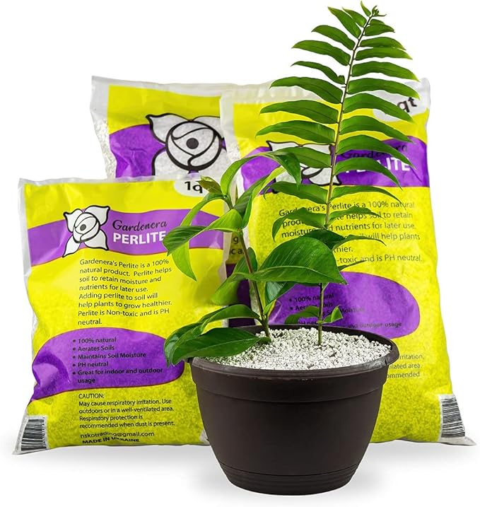 Premium Organic Perlite - (Made in Ukraine) Horticultural Soil Amendment for Indoor & Outdoor Container Plants for Drainage Management and Enhanced Growth - 4 Quart