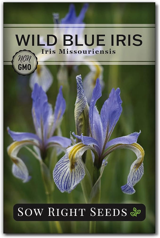 Sow Right Seeds - Wild Blue Iris Flower Seeds for Planting - Florist Favorites - Beautiful Flowers to Plant in Your Garden - Non-GMO Heirloom Seeds - Native Perennial - Wonderful Gardening Gifts (1)