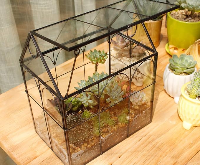 Glass Geometric Plant Terrarium,Succulent & Air Planter for Home Garden Office Decoration (Black House)