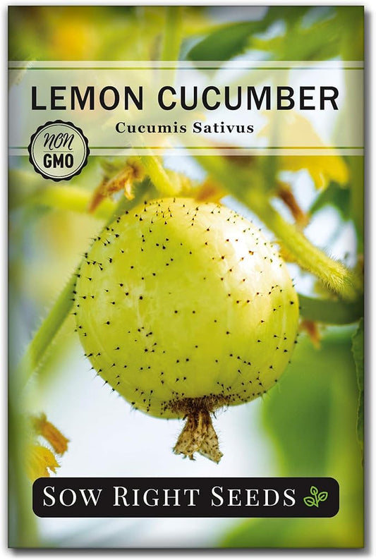Sow Right Seeds - Lemon Cucumber Seeds for Planting - Non-GMO Heirloom Seeds with Instructions to Plant and Grow a Home Vegetable Garden - Unique Round Variety with Melon Flavor for Outdoors (1)