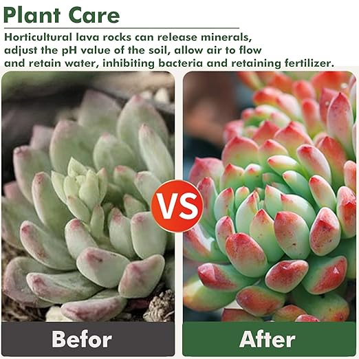 11 Pounds Black Lava Rocks, 5-8 mm Lava Rocks for Plants Bonsai, Rocks Horticultural Grit Soil Cover Gravel for Succulents and Hydroponics, Fairy Gardening, Top Dressing, Plant Drainage